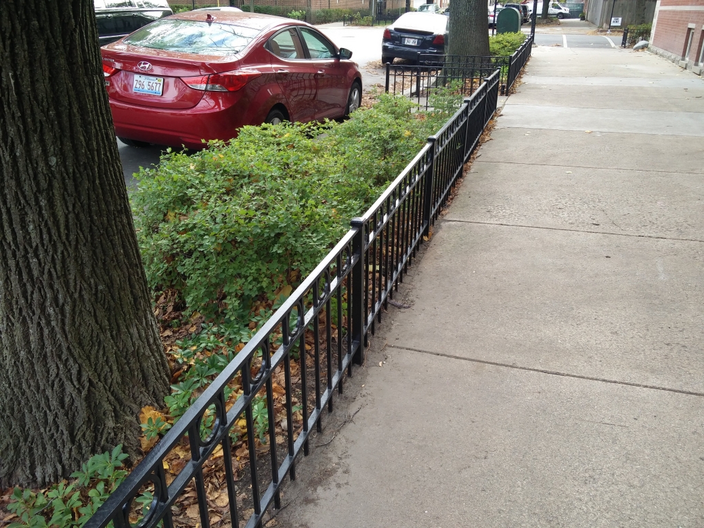 2017.12.11_Lincoln_Park_balcony_fence_stairs_metal_refinishing - Painter_Chicago-_-Fence-handrails-balcony-stairs-metal-refinishing.-Lincoln-Park-rust-removal-2.jpg